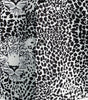 Men's Short Sleeve Hawaiian Shirt with Leopard Print